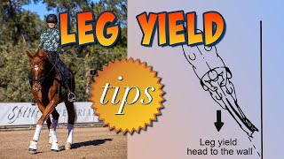 Leg Yield 101  Everything You Need to Know [upl. by Dragde]