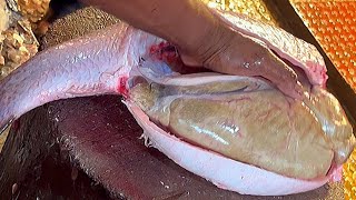 Amazing Cutting Skills  Big Rohu Fish Cutting And Collared Big Egg By Expert Fish Cutter [upl. by Conners858]