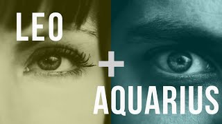 Leo amp Aquarius Love Compatibility [upl. by Abbye]