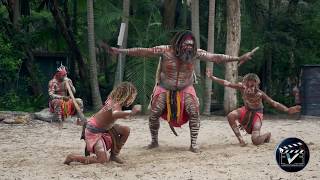 Aboriginal dance show  Australia [upl. by Jar]