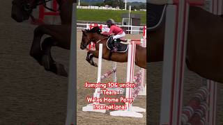 Jumping the Teams at HPI 🏴󠁧󠁢󠁥󠁮󠁧󠁿 horse equestrian showjumping pony horseriding stallion [upl. by Ainotahs269]