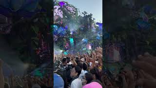 Classics with Afrojack at Tomorrowland 2024 tomorrowland tomorrowland2024 [upl. by Medina]