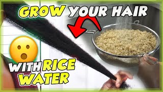 Apply Rice Water Daily amp Turn Thin Hair to Thick Hair in 30 Days  Double Hair Growth amp Long Hair [upl. by Ozkum]