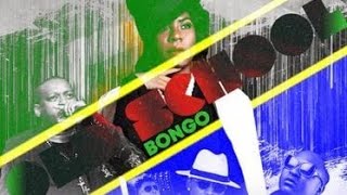 BONGO OLD SCHOOL MIX DJSEA FEVERITBOY KE [upl. by Motch27]