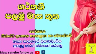 first trimester pregnancy in sinhalaගැබිනි මවකගේ මුල් මාස තුනmawsenehe first trimester pregnant [upl. by Shalne40]