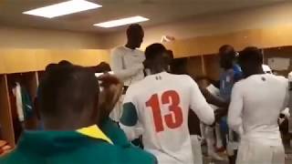 Les Lions jubilent après la qualification au Mondial [upl. by Ayin]