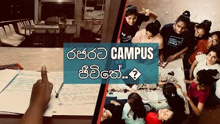 Semester එකේ අමාරුම දවස් ටික🥵 Uni vlog🧑‍🎓 Hostel life Divya Munasinghe👋 [upl. by Harpole]