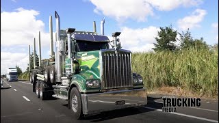 Kenworth T909 6x4 rigid with Koromiko 4axle Low Boy trailer  Truck Test  To Stand [upl. by Airbmat]