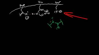 Serine Protease Mechanism [upl. by Meghann]