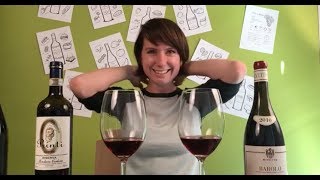 Two Nebbiolo Wines  Barolo vs Roero Riserva [upl. by Hazel]