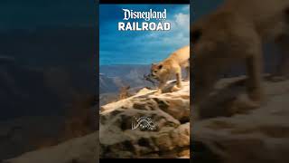 Disneyland Railroad from ToonTown to Main Street USA  disneyland train railroad  MagicalDnA [upl. by Ailsa]