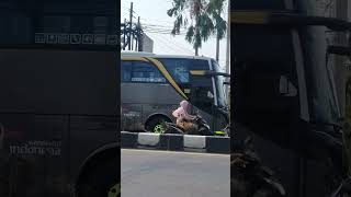 BUS DEDY JAYA 202 TELOLET OMM MANTAP 😱😁 teloletviral viralsong [upl. by Dagmar32]