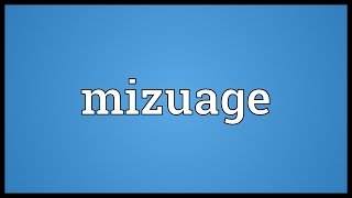 Mizuage Meaning [upl. by Accebber728]