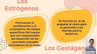 Capitulo 82 GUYTON Fisiología Femenina antes del embarazo y hormonas femeninas [upl. by Edeline]