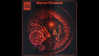 Stereo Ferment 38 balearic chill electronic world [upl. by Gaultiero764]