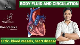 Bio vatika  class  11th  Body fluid and circulation II blood vessels heart disease [upl. by Aened]