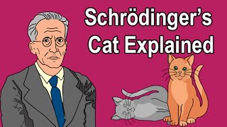 SCHRÖDINGERS CAT EXPLAINED [upl. by Enelrahc]