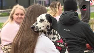 Brussels hosted its first Woofstock on Sunday a festival dedicated to dogs [upl. by Bocyaj]