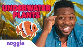 Emmanuel Teaches About Underwater Plants 🌱 🐠 Noggin Knows Science  Noggin [upl. by Arul]