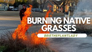 Burning native grasses [upl. by Kahle]