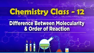 Difference Between Molecularity and Order of Reaction  Chemical Kinetics  Chemistry Class 12 [upl. by Dulcle]