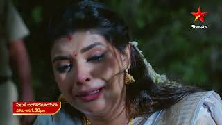 Paluke Bangaramayena  Promo  1st Apr 2024  Star Maa Serials  MonSat at 130 pm  Star Maa [upl. by Ferd]