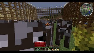 Como Domesticar Vacas En Minecraft [upl. by Stillmann116]