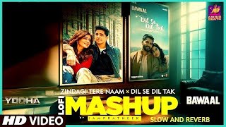 Zindagi Tere Naam X Dil Se Dil Tak LoFi Mashup  Vishal Mishra Laqshay K  Slow and Reverb [upl. by Yonatan]