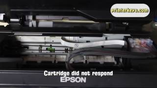 Reset Epson EP 804A Waste Ink Pad Counter [upl. by Sirtaeb]