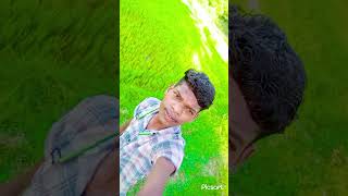 Maya ke jadu chala de na rani cg song viralvideo virlshort love [upl. by Smitt]