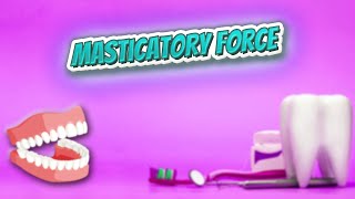 Masticatory force  Everything Dentistry 🍎👄🔊✅ [upl. by Kirad889]