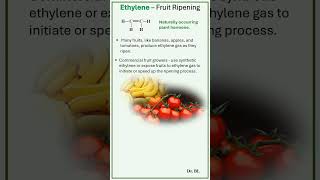 Ethylene  Fruit Ripening [upl. by Rachael]