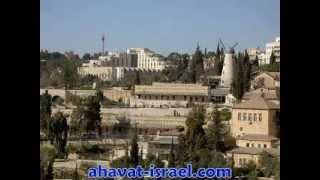 תפילת שלום המדינה  tfilat shalom hamedina  Prayer for the Peace of Israel [upl. by Akit643]