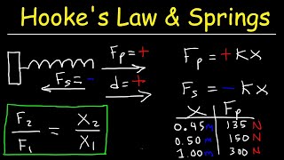 Hookes Law and Elastic Potential Energy [upl. by Leicam906]