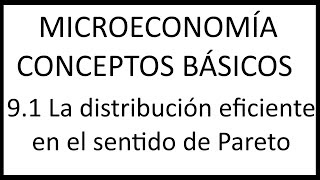 91 La distribución eficiente en el sentido de Pareto [upl. by Dnalyram]