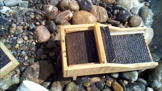 How to use a Rocker Box to find fine GOLD [upl. by Ennaeirb239]