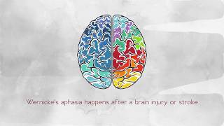 What Is Wernickes Aphasia [upl. by Falconer23]