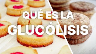 ¿QUÉ ES LA GLUCÓLISIS ¿CUÁL ES SU IMPORTNCIA [upl. by Acie908]