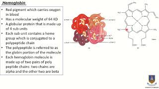 Introduction to Red blood cells Hematocrit Hemoglobin and their medical implications [upl. by Ainahtan]