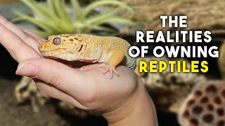 The Realities Of Owning Reptiles  Day In The Life [upl. by Ydasahc]