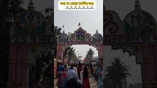 Bolla Kali Puja 2024বোল্লা কালী পুজো 2024 Bolla Kali Puja Bolla Kali Mandir Balurghat [upl. by Prouty]