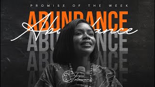 ABUNDANCE  PROMISE OF THE WEEK  PASTOR TOLUWANI [upl. by Jerol]