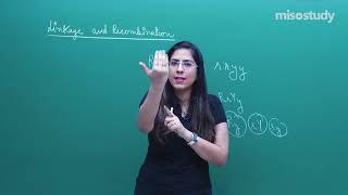 CBSE11amp12th Biology  Linkage and Recombination  Theory  In English  By Misostudy [upl. by Nnaylloh]