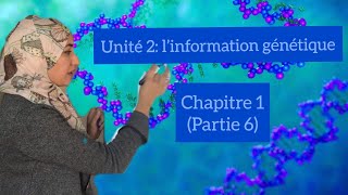 Unité 2 l’information génétiquechapitre 2partie 6 réplication de l’ADNexpérience de Taylor [upl. by Ally958]