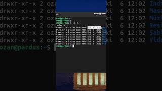LSL ve LSA Komutu  Temel Linux Komutları pardus linux [upl. by Eineg317]
