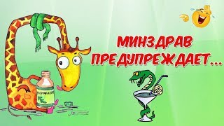 Позитивчик для друзей Минздрав предупреждает [upl. by Dniren918]