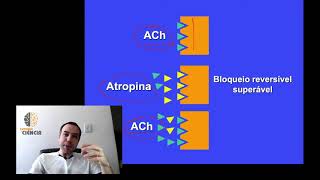Farmacologia dos Antagonistas Colinérgicos  Parte 1 [upl. by Erich]