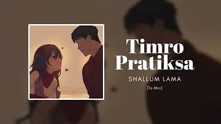 Timro Pratiksa  Shallum Lama To Mini [upl. by Faubert]