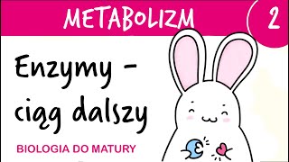 Metabolizm 2  Enzymy  ciąg dalszy  matura biologia rozszerzona przygotowanie [upl. by Peggy26]