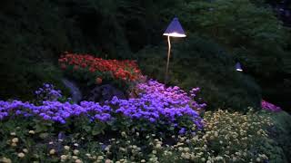 Butchart Gardens Virtual Tour [upl. by Nomead833]